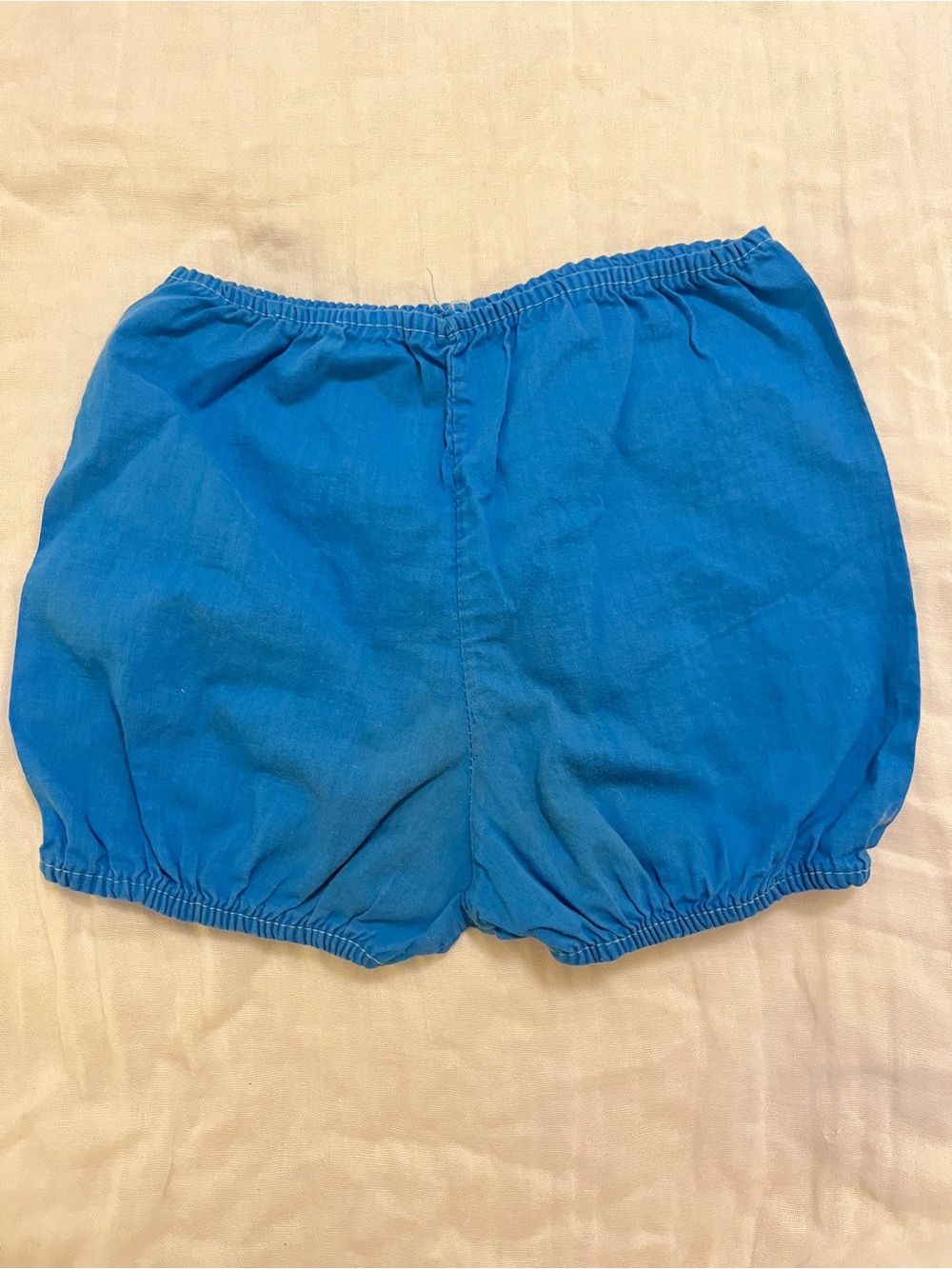 Vintage Blue Bloom Shorts